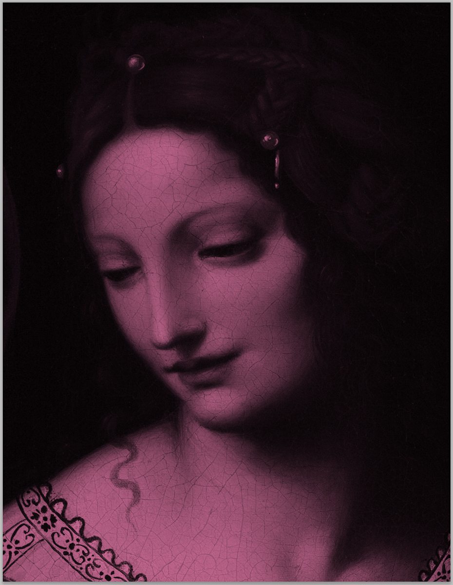 Salome pink (after Bernardino Luini) 2024. <br>Acrylic and diamond dust in canvas
62 x 48 inches.